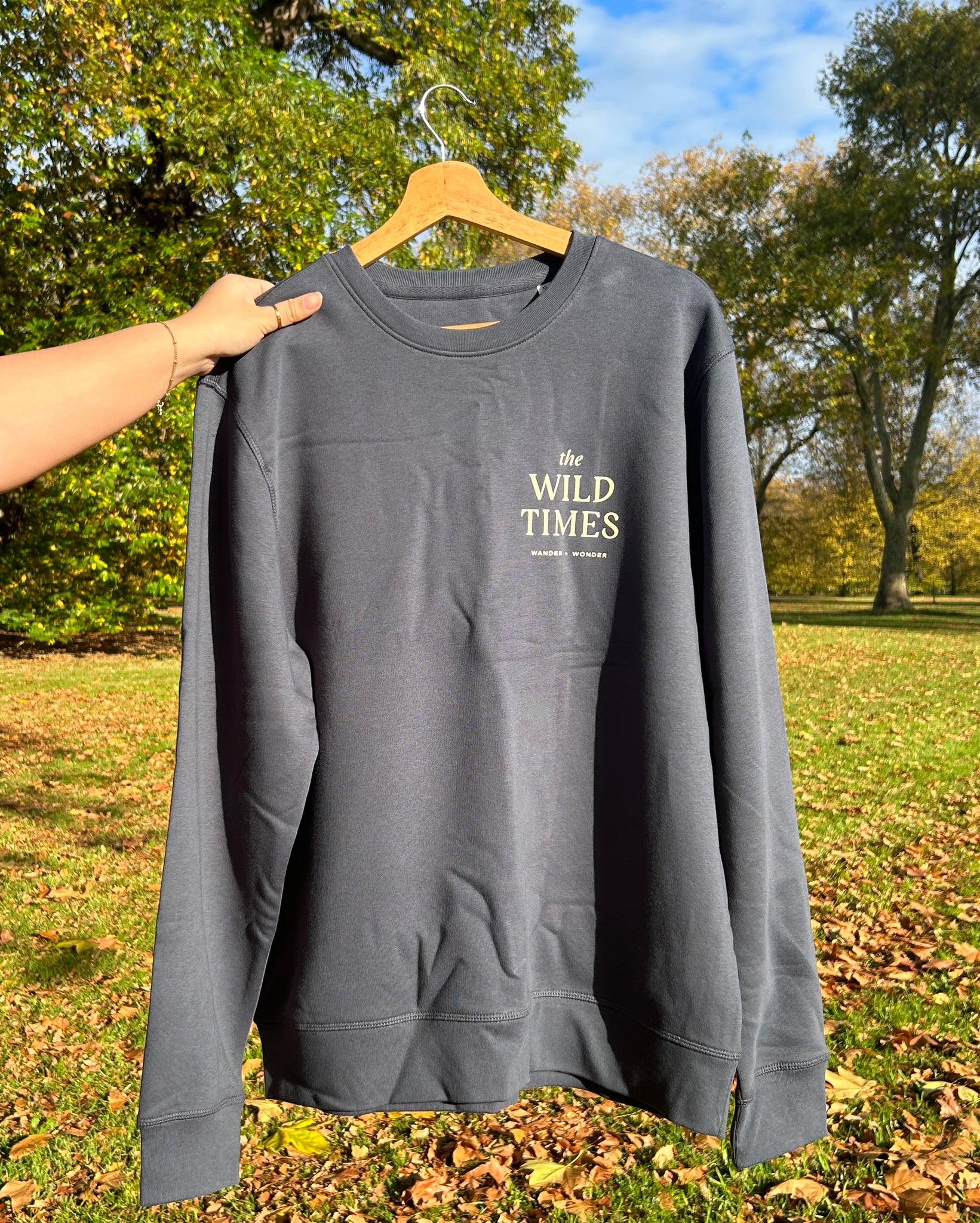 The Wild Times Jumper