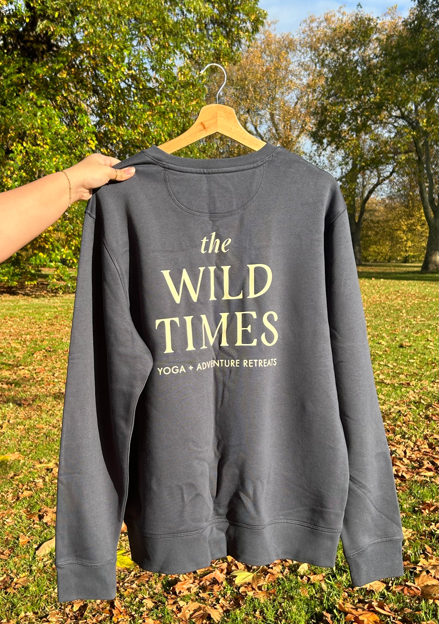 The Wild Times Jumper