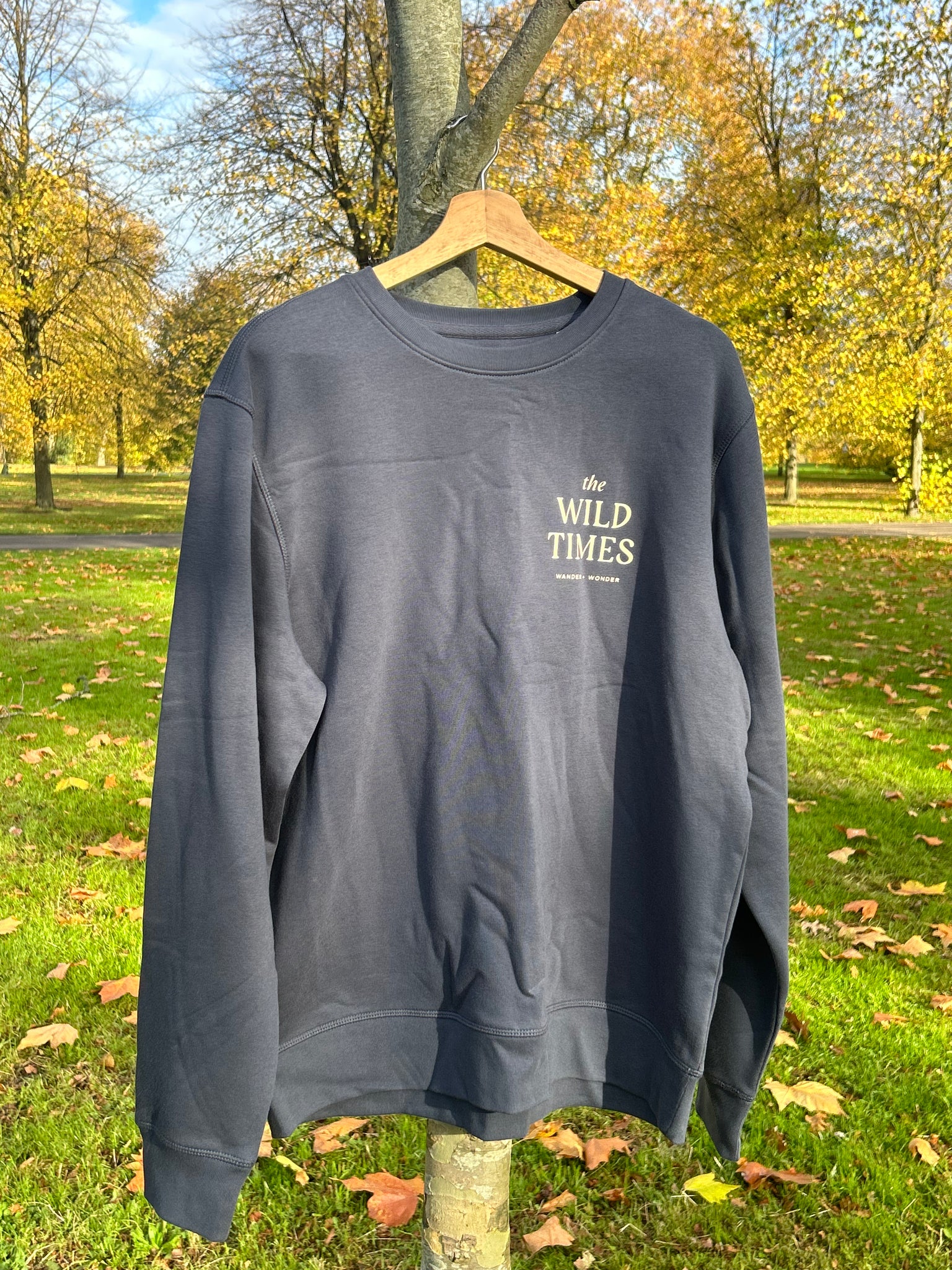 The Wild Times Jumper