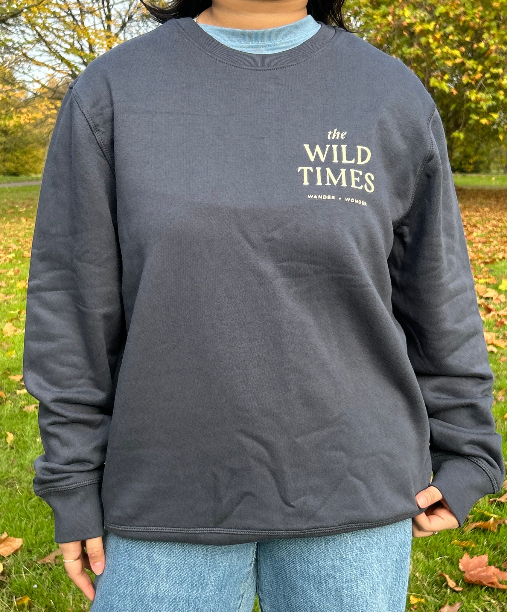 The Wild Times Jumper